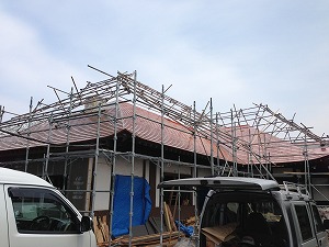 IMG_3590