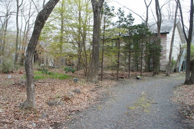 DSC03286
