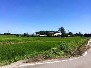 11173359_875066059235398_5427531290651119260_n