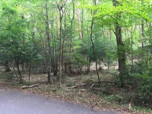 12088449_836452543137624_3798377762202368912_n