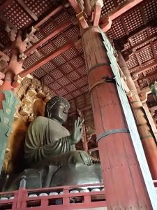 13015564_1033907133350780_1199774079123784686_n