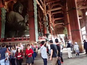 13055416_1033906946684132_3215503333569380266_n