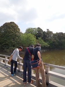 13076538_1033907010017459_3435689292293677986_n