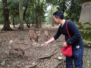 13102776_1033907016684125_4953244388640192434_n