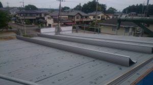 13391481_524886244363125_1576213078364463457_o