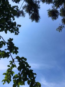 13418842_1068825229858970_1316001894479321171_n