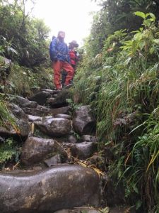 14333140_1153388738069285_1126618067591299244_n