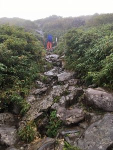 14355556_1153388661402626_4410392907545580512_n