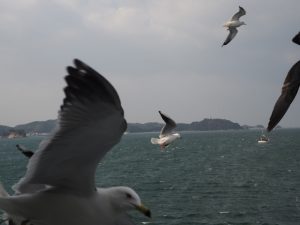 p1040433